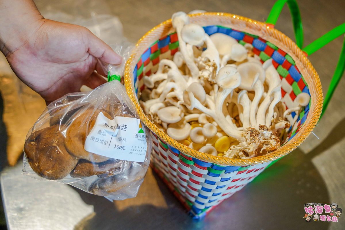 南投親子景點》豐年靈芝菇類生態農場 | 菇菇彩繪、生態瓶、PIZZA手作，讓孩子愛上大自然的寓教於樂的菇菇農場探險