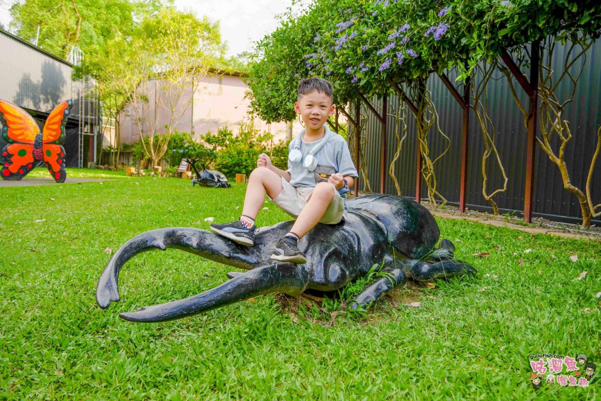 南投親子景點》豐年靈芝菇類生態農場 | 菇菇彩繪、生態瓶、PIZZA手作，讓孩子愛上大自然的寓教於樂的菇菇農場探險