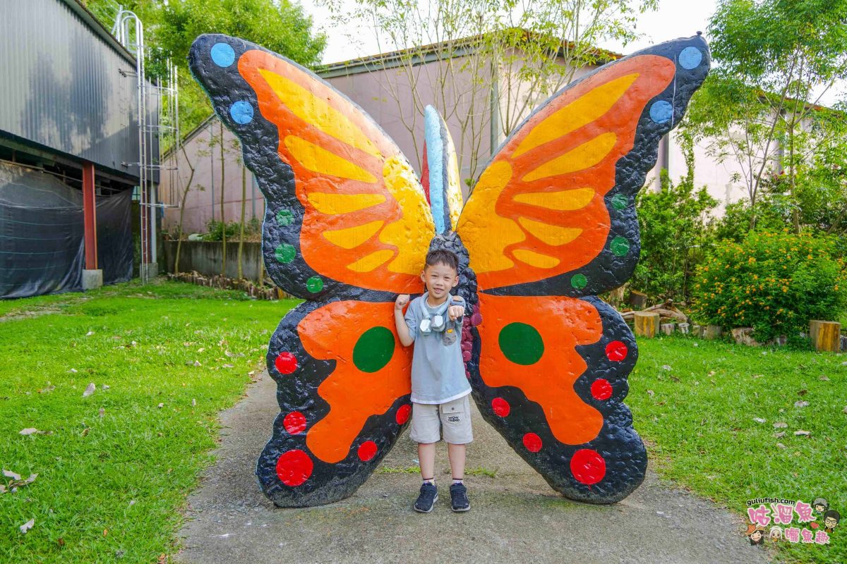 南投親子景點》豐年靈芝菇類生態農場 | 菇菇彩繪、生態瓶、PIZZA手作，讓孩子愛上大自然的寓教於樂的菇菇農場探險