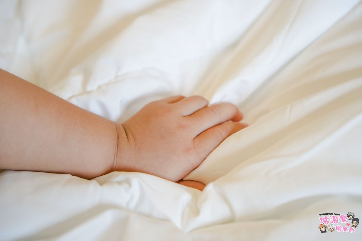 可水洗四季被開箱》日比家族 | 告別換季煩惱!WENTEX可水洗珍珠絲柔雙人四季被,來自百貨品牌的四季被心得分享! 可水洗四季被開箱》日比家族 | 告別換季煩惱!WENTEX可水洗珍珠絲柔雙人四季被,來自百貨品牌的四季被心得分享!