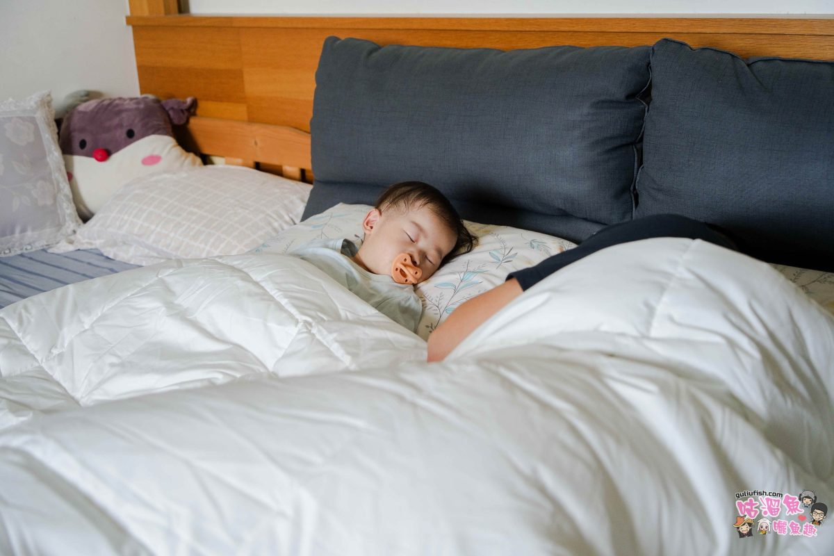 可水洗四季被開箱》日比家族 | 告別換季煩惱!WENTEX可水洗珍珠絲柔雙人四季被,來自百貨品牌的四季被心得分享! 可水洗四季被開箱》日比家族 | 告別換季煩惱!WENTEX可水洗珍珠絲柔雙人四季被,來自百貨品牌的四季被心得分享!