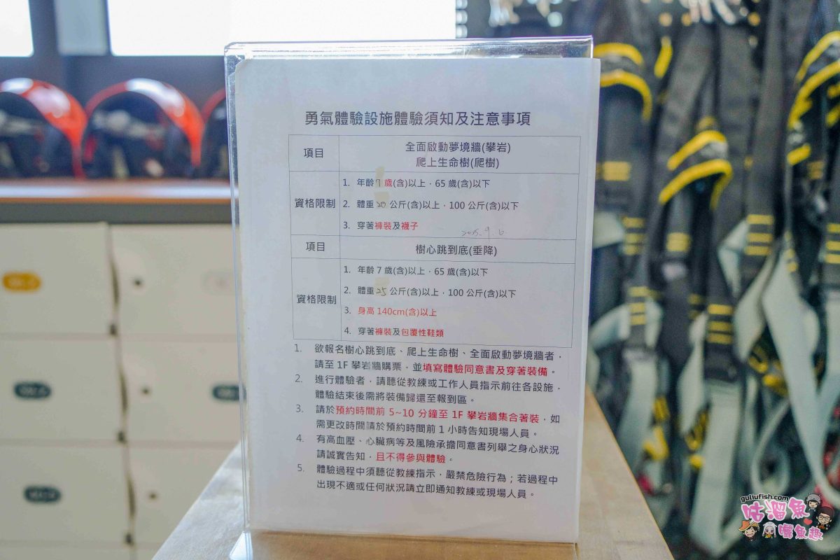 南投景點》樹德半山夢工廠 | 夢幻趣味多元室內景點！擁有全球最大室內木構巨樹、全台室內最高攀岩牆，好吃好玩一站滿足