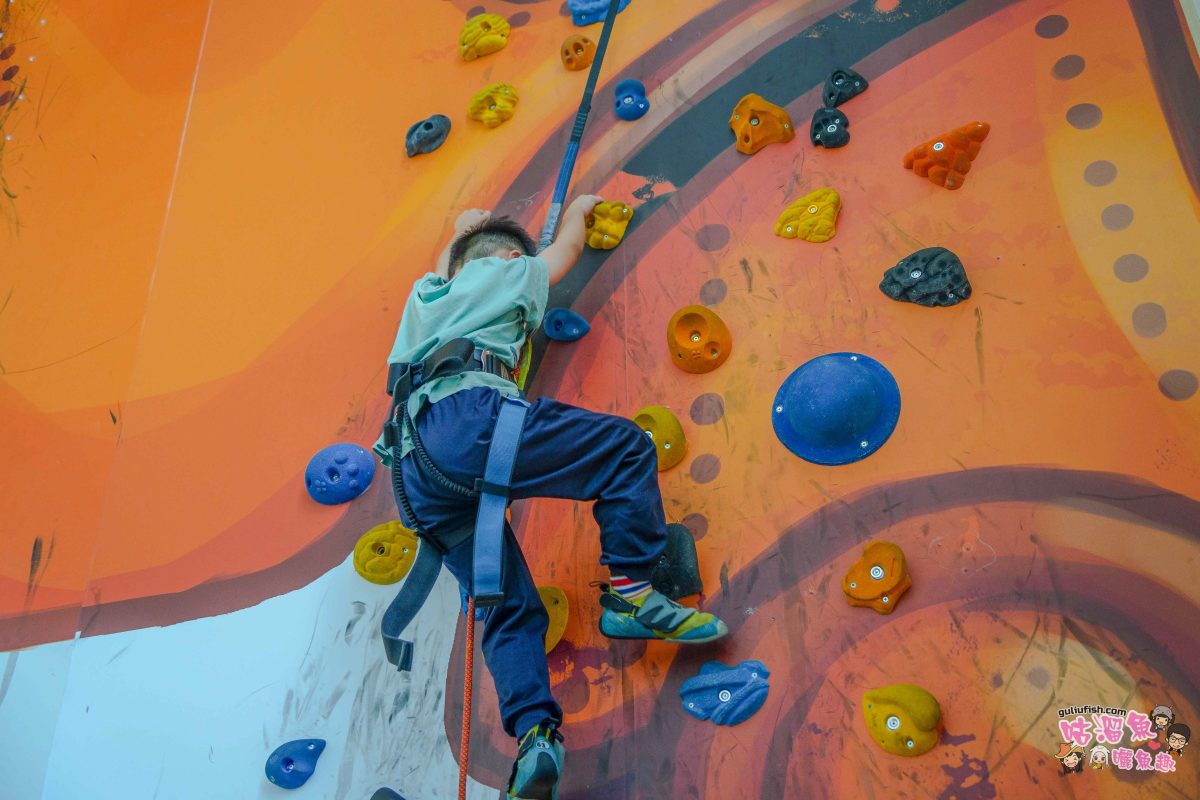南投景點》樹德半山夢工廠 | 夢幻趣味多元室內景點！擁有全球最大室內木構巨樹、全台室內最高攀岩牆，好吃好玩一站滿足
