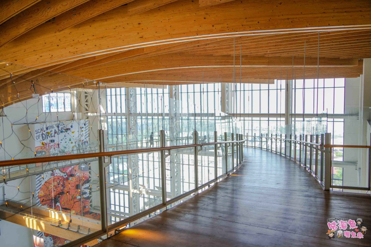 南投景點》樹德半山夢工廠 | 夢幻趣味多元室內景點！擁有全球最大室內木構巨樹、全台室內最高攀岩牆，好吃好玩一站滿足