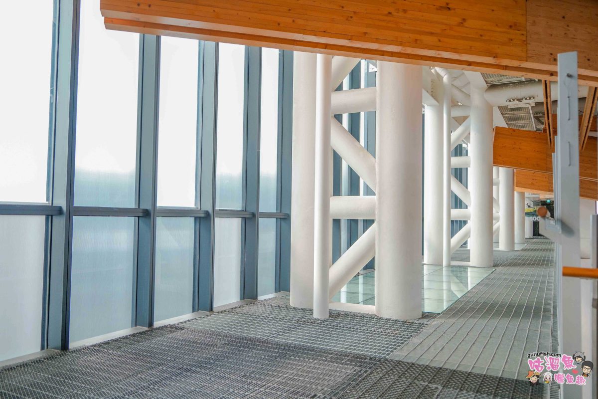 南投景點》樹德半山夢工廠 | 夢幻趣味多元室內景點！擁有全球最大室內木構巨樹、全台室內最高攀岩牆，好吃好玩一站滿足