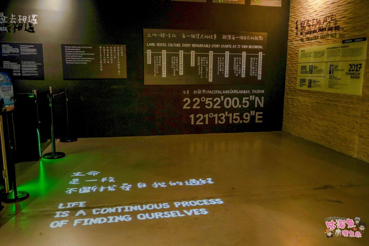 南投景點》樹德半山夢工廠 | 夢幻趣味多元室內景點！擁有全球最大室內木構巨樹、全台室內最高攀岩牆，好吃好玩一站滿足