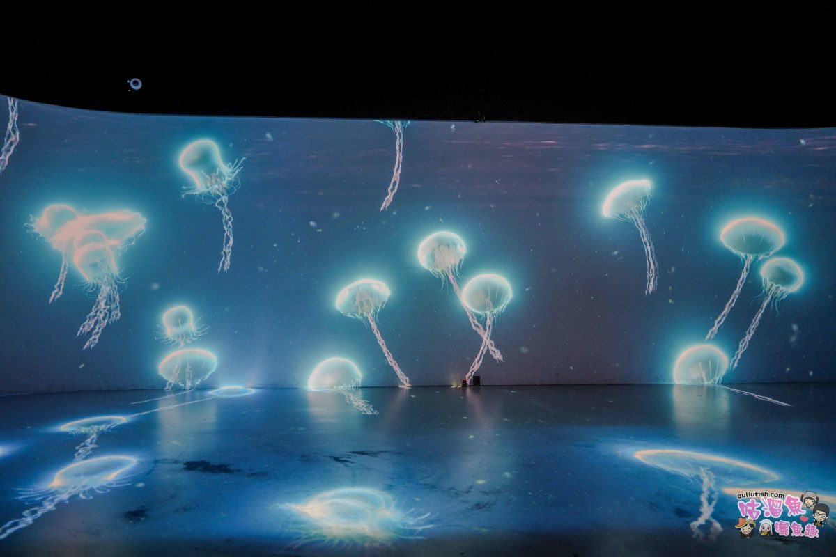 南投景點》樹德半山夢工廠 | 夢幻趣味多元室內景點！擁有全球最大室內木構巨樹、全台室內最高攀岩牆，好吃好玩一站滿足