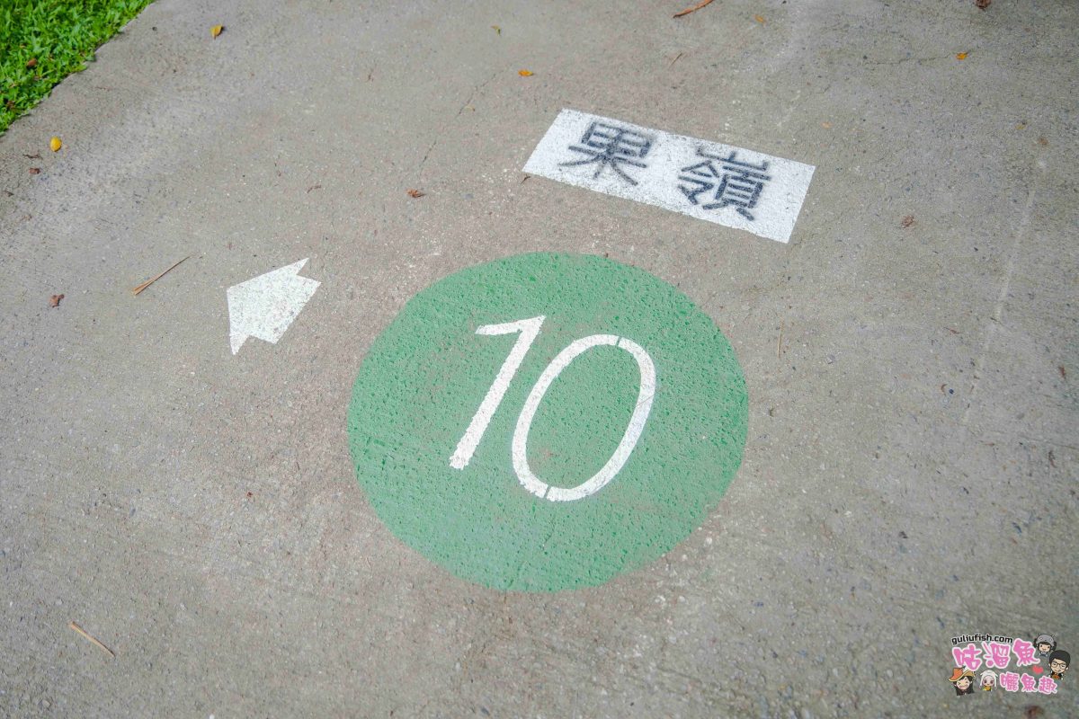 高雄景點》高雄果嶺自然公園 | 高雄最大規模都會綠洲！70 公頃休閒散步運動綠地廣場免費入園