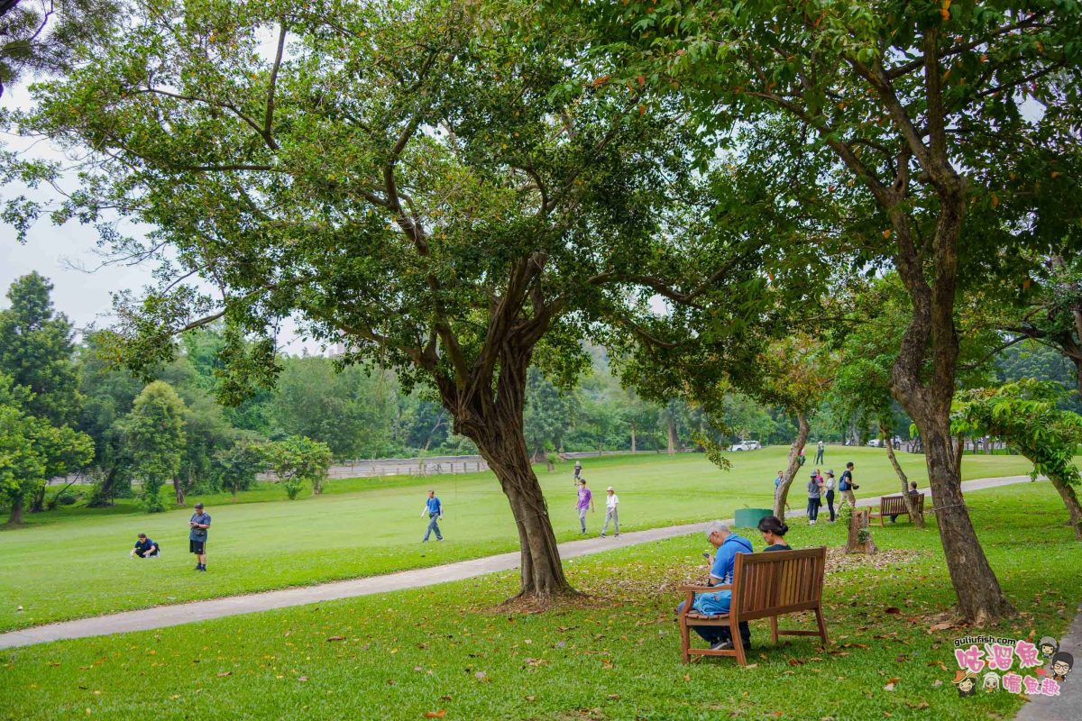 高雄景點》高雄果嶺自然公園 | 高雄最大規模都會綠洲！70 公頃休閒散步運動綠地廣場免費入園
