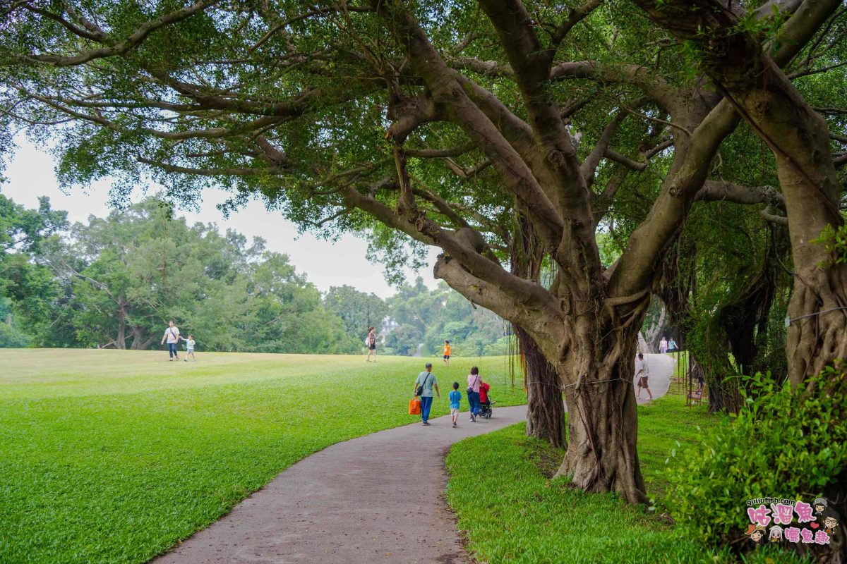 高雄景點》高雄果嶺自然公園 | 高雄最大規模都會綠洲！70 公頃休閒散步運動綠地廣場免費入園