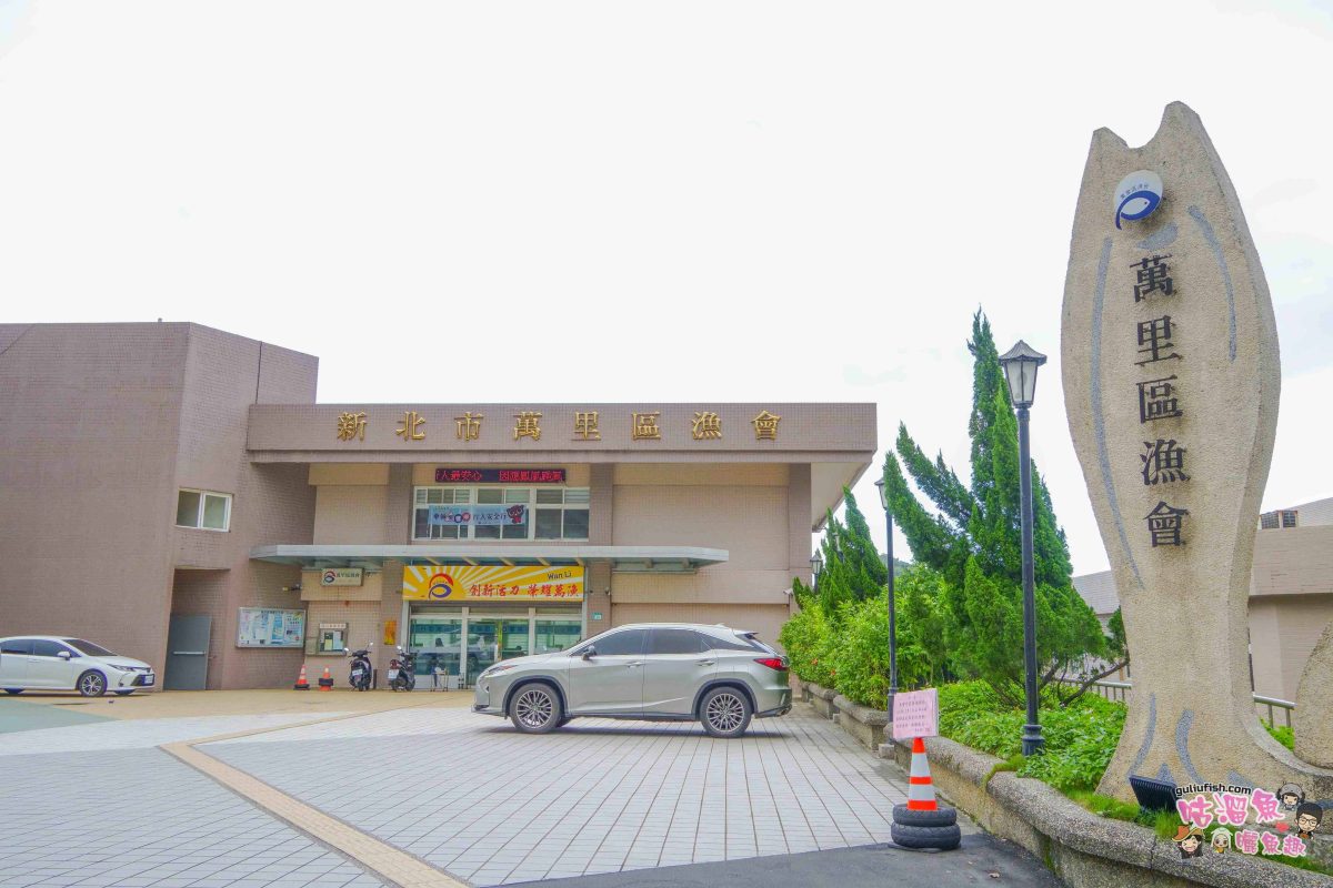 北海岸秘境探索免開車！台灣好行皇冠北海岸線套票攻略：野柳地質公園、山海芳園，輕鬆玩轉野柳奇岩與海景咖啡