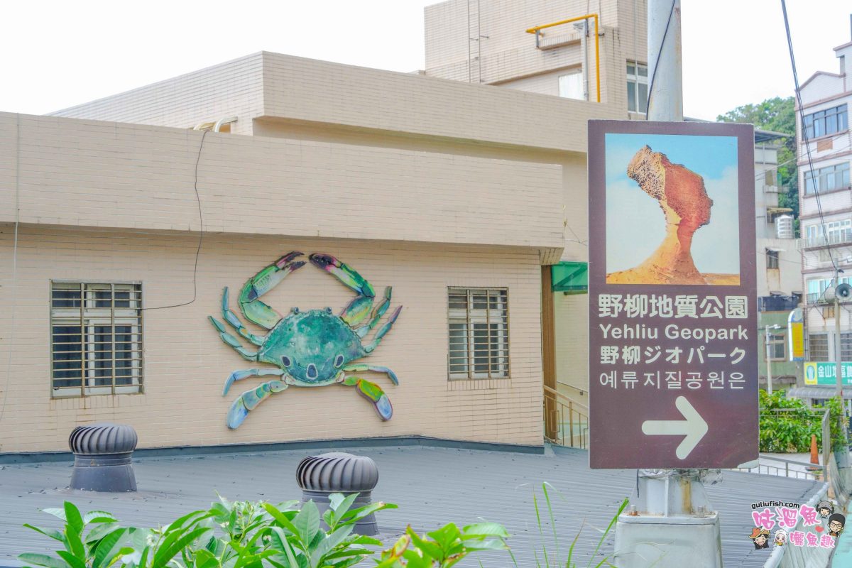 北海岸秘境探索免開車！台灣好行皇冠北海岸線套票攻略：野柳地質公園、山海芳園，輕鬆玩轉野柳奇岩與海景咖啡