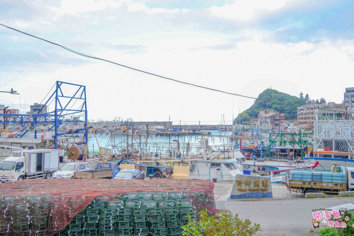 北海岸秘境探索免開車！台灣好行皇冠北海岸線套票攻略：野柳地質公園、山海芳園，輕鬆玩轉野柳奇岩與海景咖啡