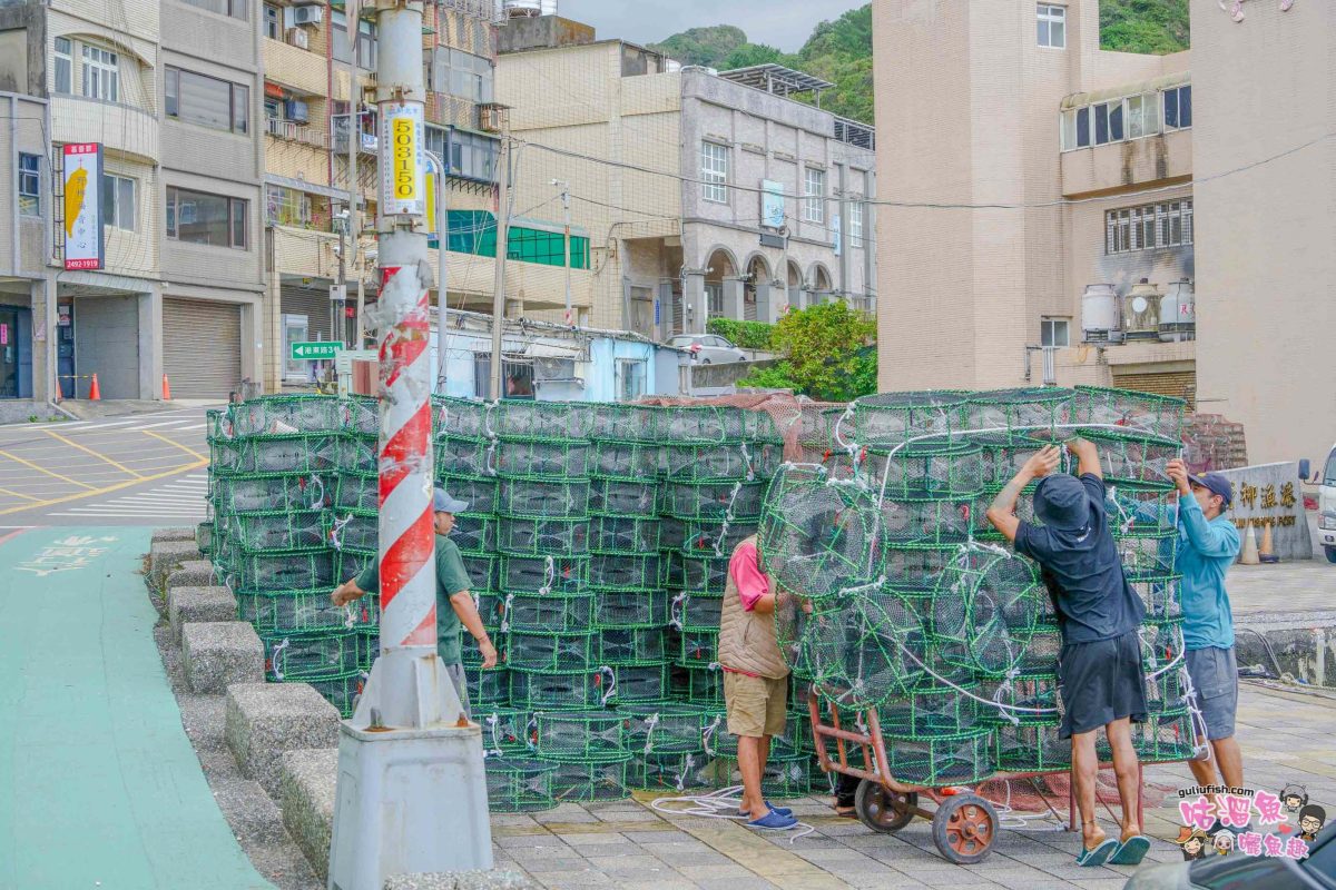 北海岸秘境探索免開車！台灣好行皇冠北海岸線套票攻略：野柳地質公園、山海芳園，輕鬆玩轉野柳奇岩與海景咖啡