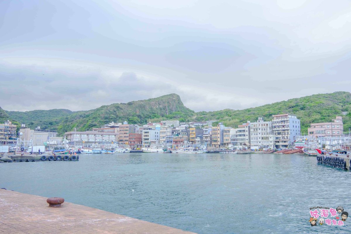 北海岸秘境探索免開車！台灣好行皇冠北海岸線套票攻略：野柳地質公園、山海芳園，輕鬆玩轉野柳奇岩與海景咖啡