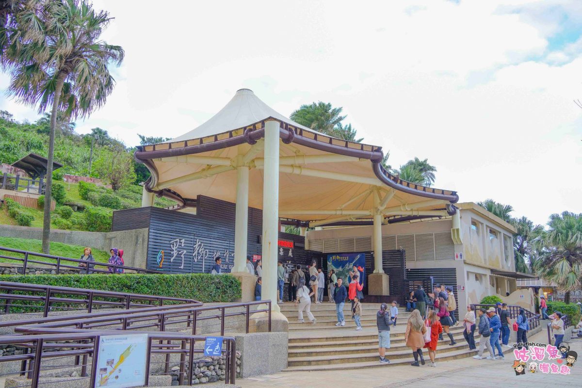 北海岸秘境探索免開車！台灣好行皇冠北海岸線套票攻略：野柳地質公園、山海芳園，輕鬆玩轉野柳奇岩與海景咖啡