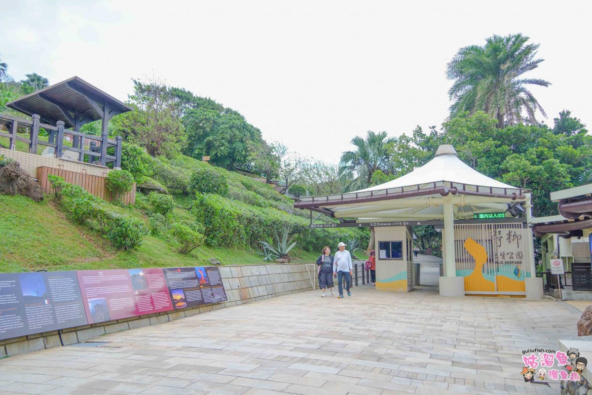 北海岸秘境探索免開車！台灣好行皇冠北海岸線套票攻略：野柳地質公園、山海芳園，輕鬆玩轉野柳奇岩與海景咖啡