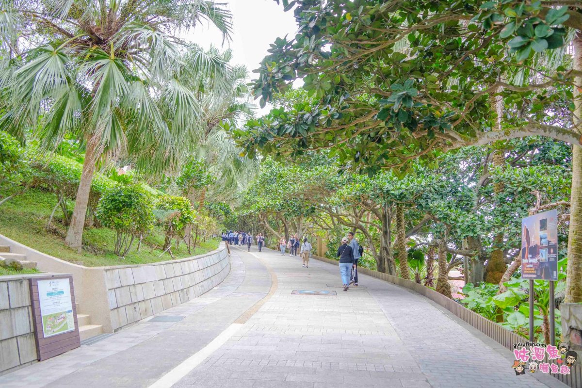 北海岸秘境探索免開車！台灣好行皇冠北海岸線套票攻略：野柳地質公園、山海芳園，輕鬆玩轉野柳奇岩與海景咖啡