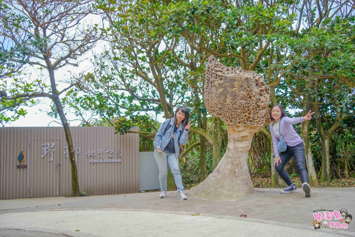北海岸秘境探索免開車！台灣好行皇冠北海岸線套票攻略：野柳地質公園、山海芳園，輕鬆玩轉野柳奇岩與海景咖啡