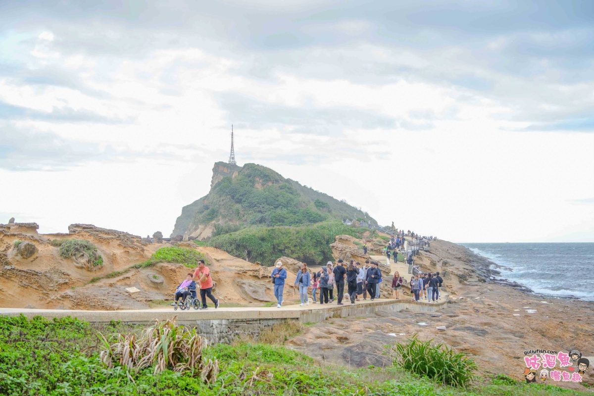 北海岸秘境探索免開車！台灣好行皇冠北海岸線套票攻略：野柳地質公園、山海芳園，輕鬆玩轉野柳奇岩與海景咖啡