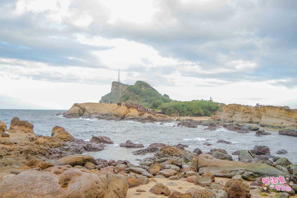 北海岸秘境探索免開車！台灣好行皇冠北海岸線套票攻略：野柳地質公園、山海芳園，輕鬆玩轉野柳奇岩與海景咖啡