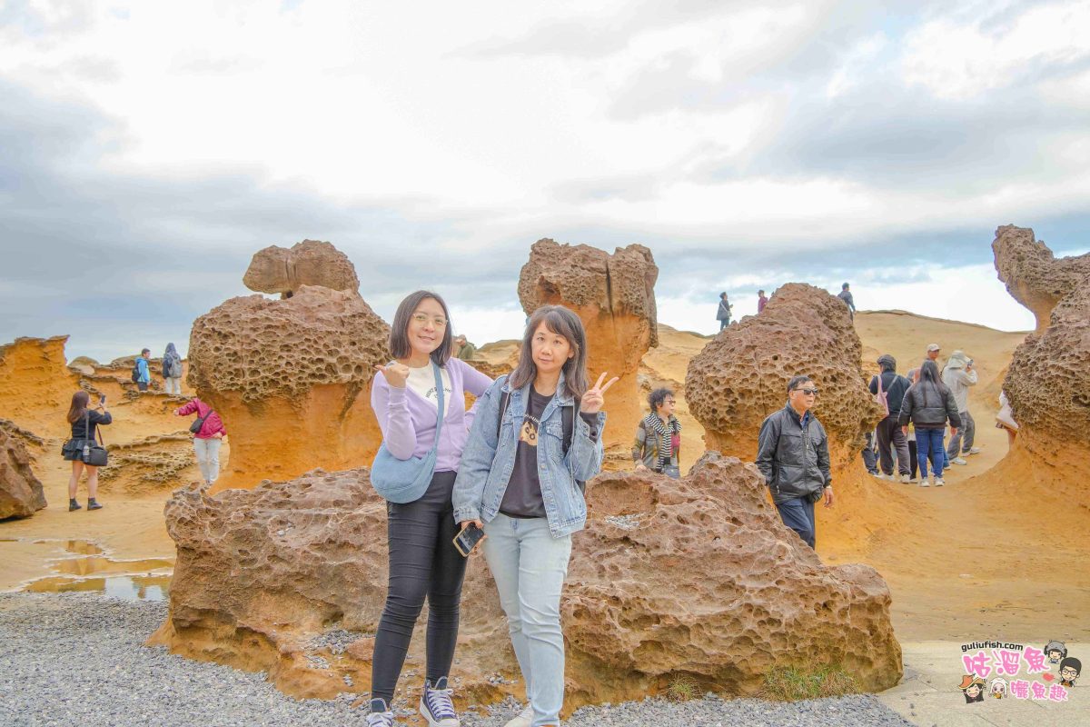 北海岸秘境探索免開車！台灣好行皇冠北海岸線套票攻略：野柳地質公園、山海芳園，輕鬆玩轉野柳奇岩與海景咖啡