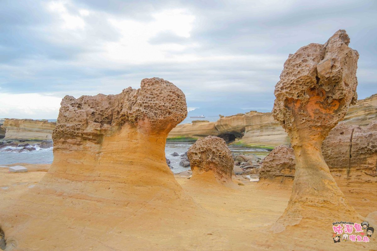 北海岸秘境探索免開車！台灣好行皇冠北海岸線套票攻略：野柳地質公園、山海芳園，輕鬆玩轉野柳奇岩與海景咖啡