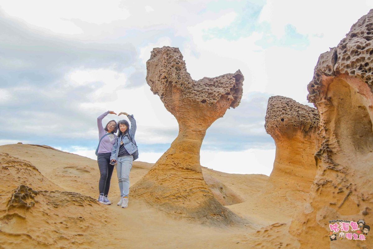 北海岸秘境探索免開車！台灣好行皇冠北海岸線套票攻略：野柳地質公園、山海芳園，輕鬆玩轉野柳奇岩與海景咖啡