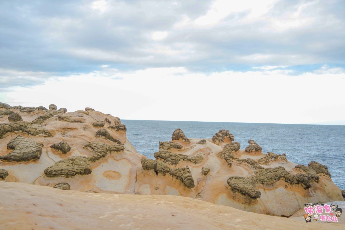 北海岸秘境探索免開車！台灣好行皇冠北海岸線套票攻略：野柳地質公園、山海芳園，輕鬆玩轉野柳奇岩與海景咖啡
