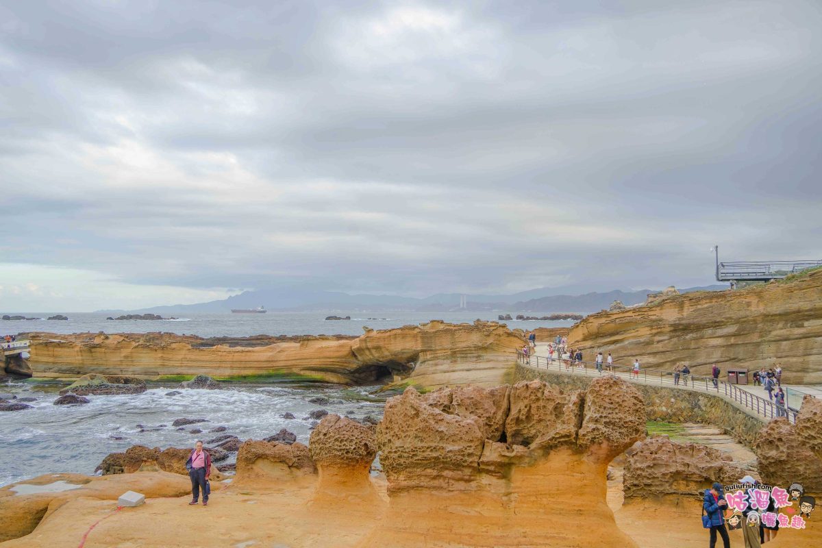 北海岸秘境探索免開車！台灣好行皇冠北海岸線套票攻略：野柳地質公園、山海芳園，輕鬆玩轉野柳奇岩與海景咖啡