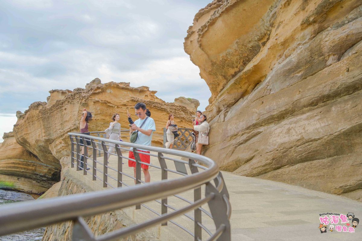 北海岸秘境探索免開車！台灣好行皇冠北海岸線套票攻略：野柳地質公園、山海芳園，輕鬆玩轉野柳奇岩與海景咖啡