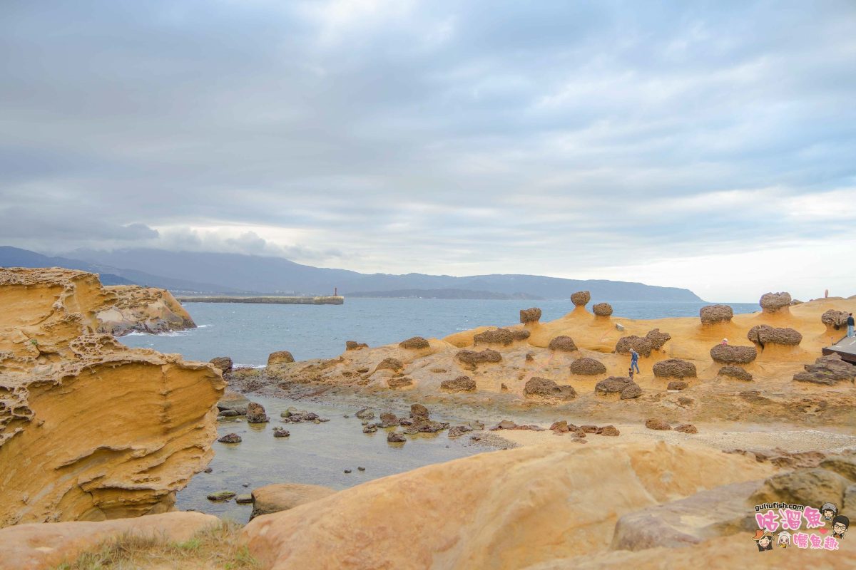 北海岸秘境探索免開車！台灣好行皇冠北海岸線套票攻略：野柳地質公園、山海芳園，輕鬆玩轉野柳奇岩與海景咖啡