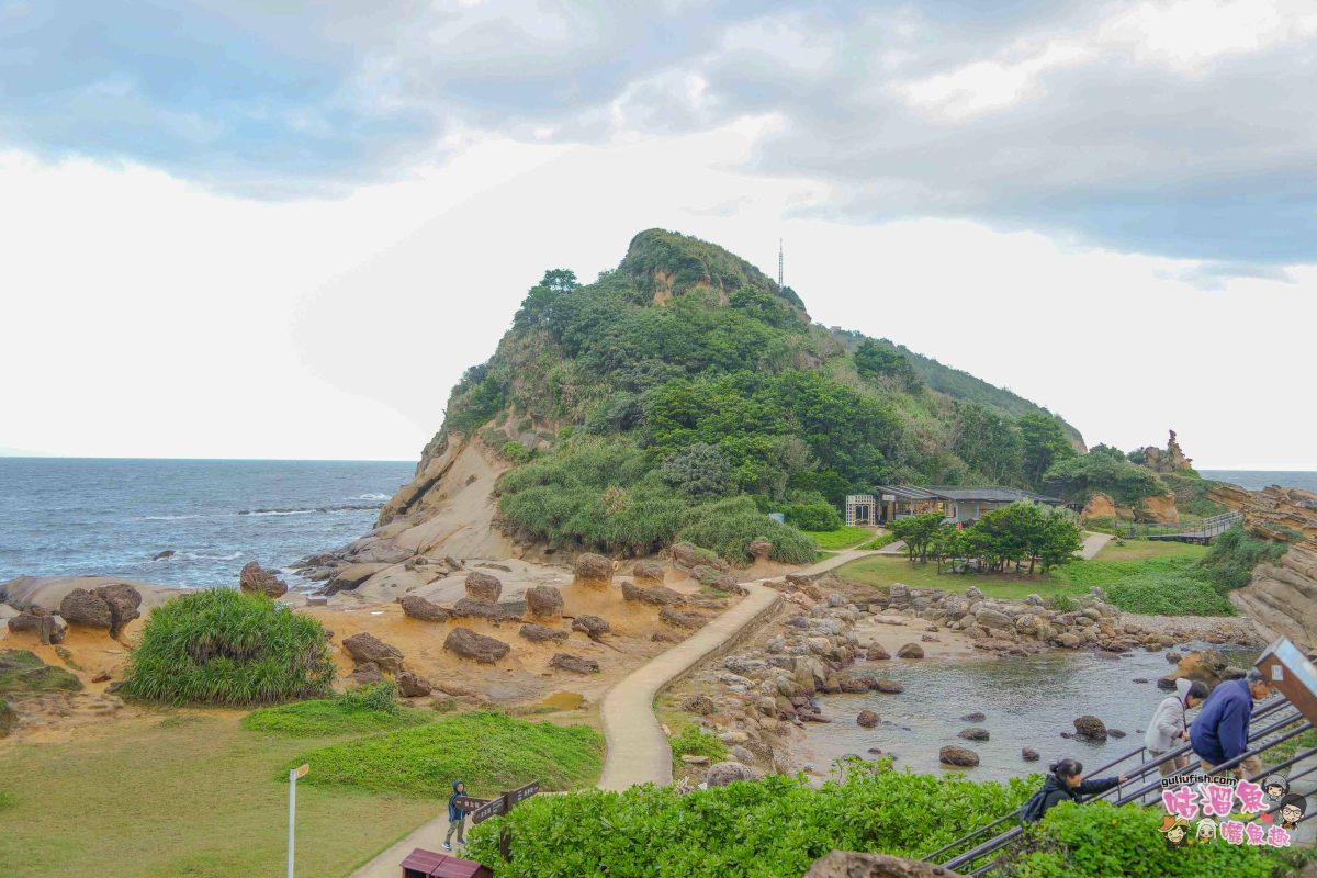 北海岸秘境探索免開車！台灣好行皇冠北海岸線套票攻略：野柳地質公園、山海芳園，輕鬆玩轉野柳奇岩與海景咖啡