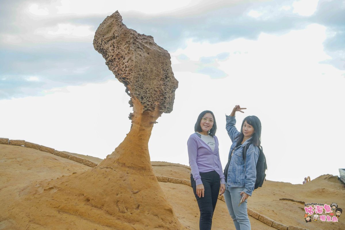 北海岸秘境探索免開車！台灣好行皇冠北海岸線套票攻略：野柳地質公園、山海芳園，輕鬆玩轉野柳奇岩與海景咖啡