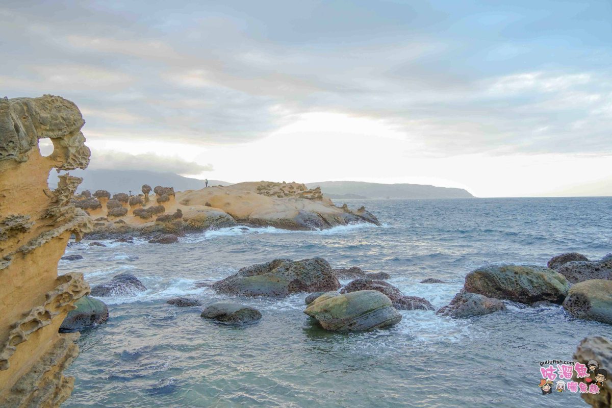 北海岸秘境探索免開車！台灣好行皇冠北海岸線套票攻略：野柳地質公園、山海芳園，輕鬆玩轉野柳奇岩與海景咖啡
