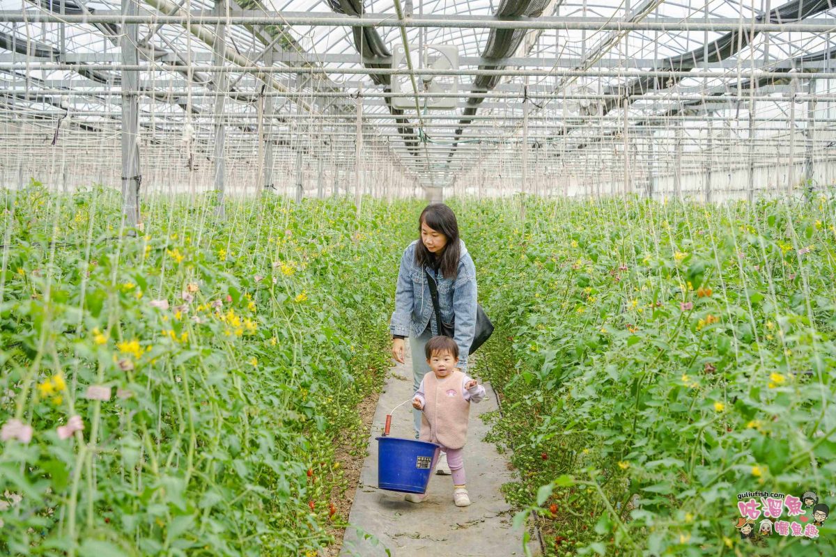 嘉義親子一日遊》帶著孩子輕鬆玩!嘉義平原線景點美食懶人包,趣味採果/親子休閒農場/特色餐廳/絕美咖啡廳/必買伴手禮 嘉義親子一日遊》帶著孩子輕鬆玩!嘉義平原線景點美食懶人包,趣味採果/親子休閒農場/特色餐廳/絕美咖啡廳/必買伴手禮