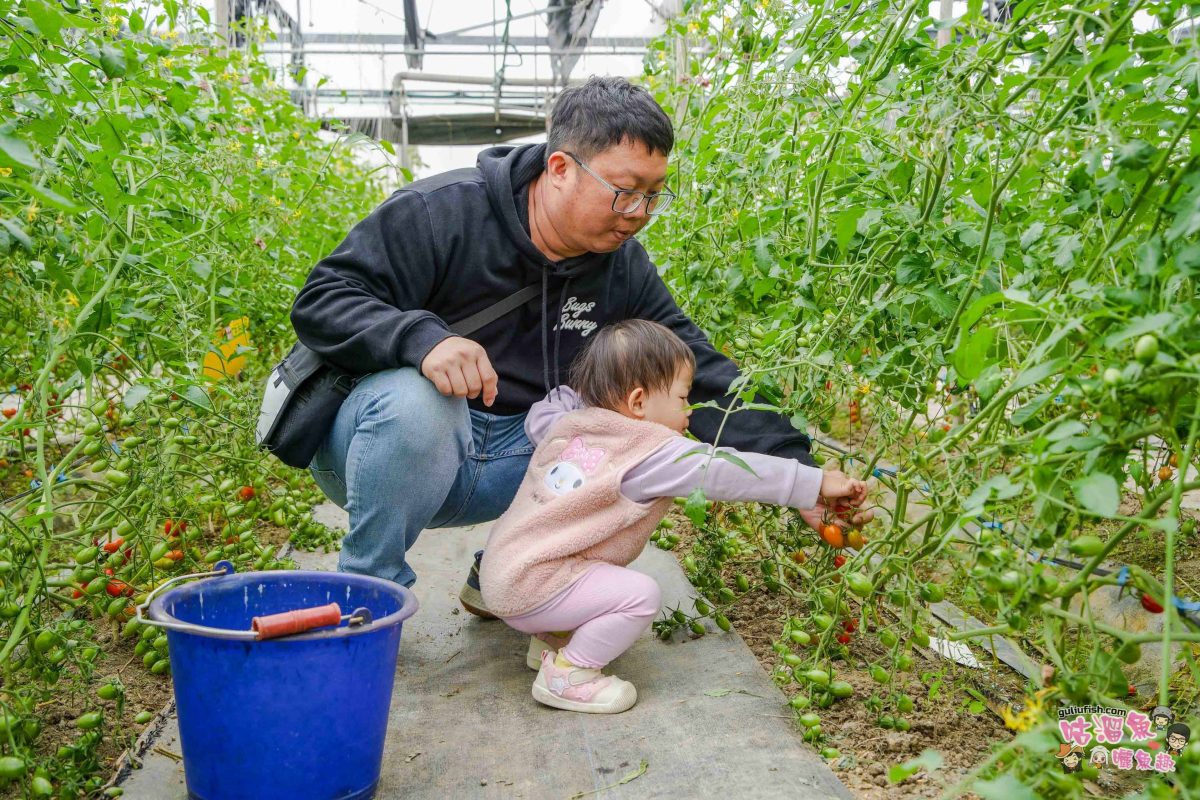 嘉義親子一日遊》帶著孩子輕鬆玩!嘉義平原線景點美食懶人包,趣味採果/親子休閒農場/特色餐廳/絕美咖啡廳/必買伴手禮 嘉義親子一日遊》帶著孩子輕鬆玩!嘉義平原線景點美食懶人包,趣味採果/親子休閒農場/特色餐廳/絕美咖啡廳/必買伴手禮