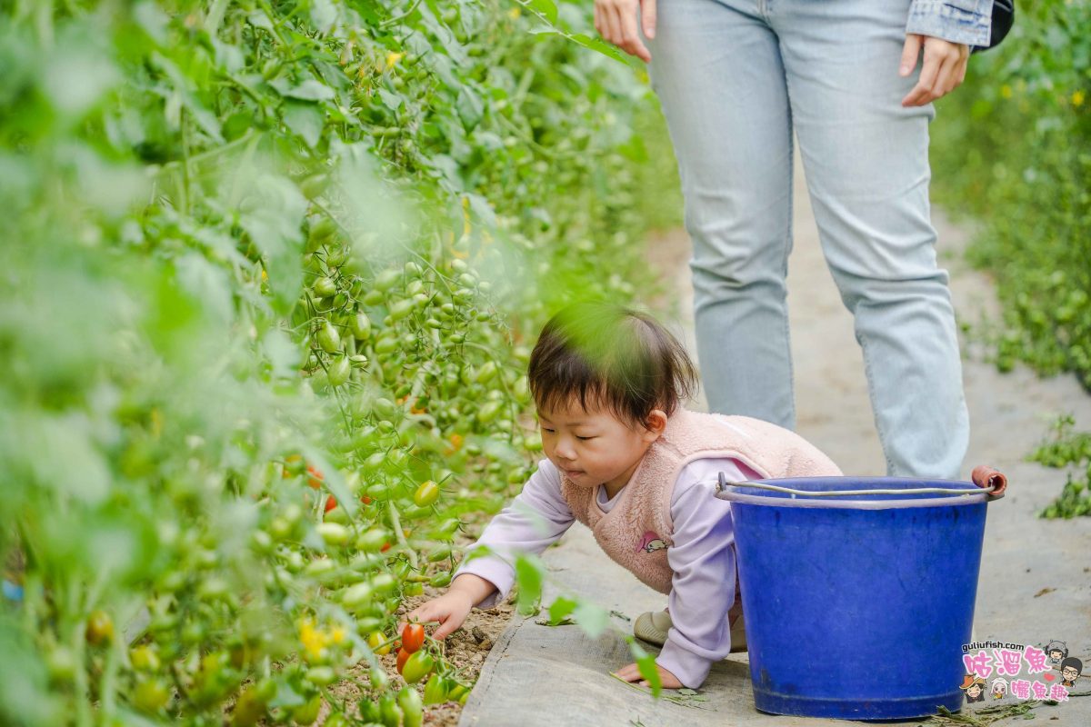 嘉義親子一日遊》帶著孩子輕鬆玩!嘉義平原線景點美食懶人包,趣味採果/親子休閒農場/特色餐廳/絕美咖啡廳/必買伴手禮 嘉義親子一日遊》帶著孩子輕鬆玩!嘉義平原線景點美食懶人包,趣味採果/親子休閒農場/特色餐廳/絕美咖啡廳/必買伴手禮