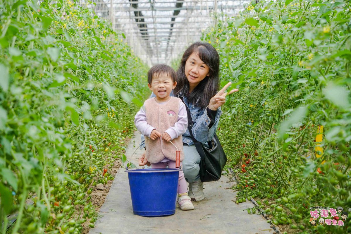 嘉義親子一日遊》帶著孩子輕鬆玩!嘉義平原線景點美食懶人包,趣味採果/親子休閒農場/特色餐廳/絕美咖啡廳/必買伴手禮 嘉義親子一日遊》帶著孩子輕鬆玩!嘉義平原線景點美食懶人包,趣味採果/親子休閒農場/特色餐廳/絕美咖啡廳/必買伴手禮