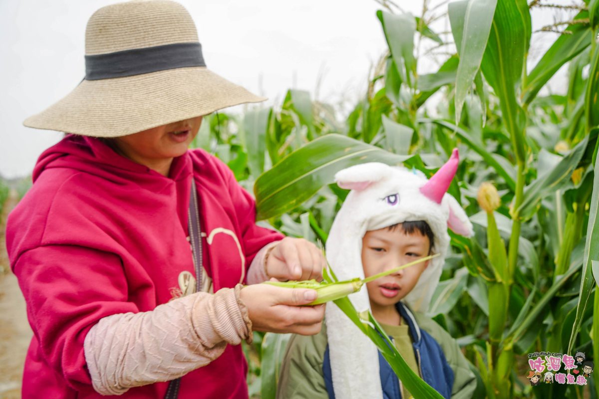 嘉義親子一日遊》帶著孩子輕鬆玩!嘉義平原線景點美食懶人包,趣味採果/親子休閒農場/特色餐廳/絕美咖啡廳/必買伴手禮 嘉義親子一日遊》帶著孩子輕鬆玩!嘉義平原線景點美食懶人包,趣味採果/親子休閒農場/特色餐廳/絕美咖啡廳/必買伴手禮