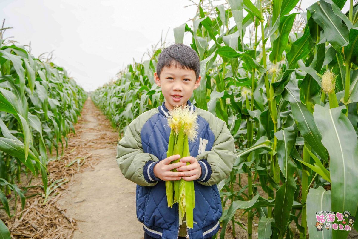 嘉義親子一日遊》帶著孩子輕鬆玩!嘉義平原線景點美食懶人包,趣味採果/親子休閒農場/特色餐廳/絕美咖啡廳/必買伴手禮 嘉義親子一日遊》帶著孩子輕鬆玩!嘉義平原線景點美食懶人包,趣味採果/親子休閒農場/特色餐廳/絕美咖啡廳/必買伴手禮