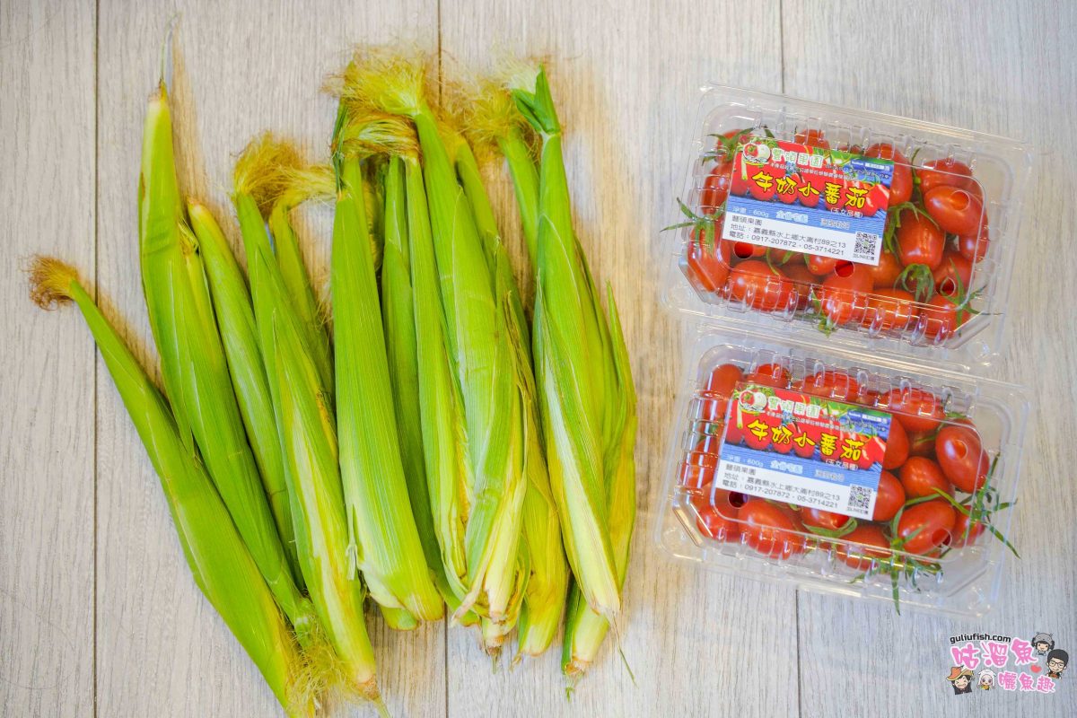 嘉義親子一日遊》帶著孩子輕鬆玩!嘉義平原線景點美食懶人包,趣味採果/親子休閒農場/特色餐廳/絕美咖啡廳/必買伴手禮 嘉義親子一日遊》帶著孩子輕鬆玩!嘉義平原線景點美食懶人包,趣味採果/親子休閒農場/特色餐廳/絕美咖啡廳/必買伴手禮