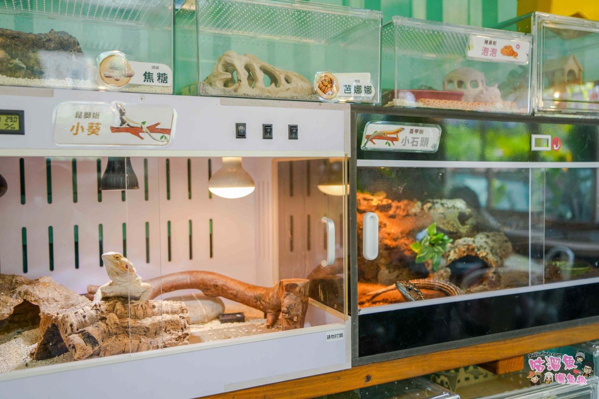 嘉義親子一日遊》帶著孩子輕鬆玩!嘉義平原線景點美食懶人包,趣味採果/親子休閒農場/特色餐廳/絕美咖啡廳/必買伴手禮 嘉義親子一日遊》帶著孩子輕鬆玩!嘉義平原線景點美食懶人包,趣味採果/親子休閒農場/特色餐廳/絕美咖啡廳/必買伴手禮