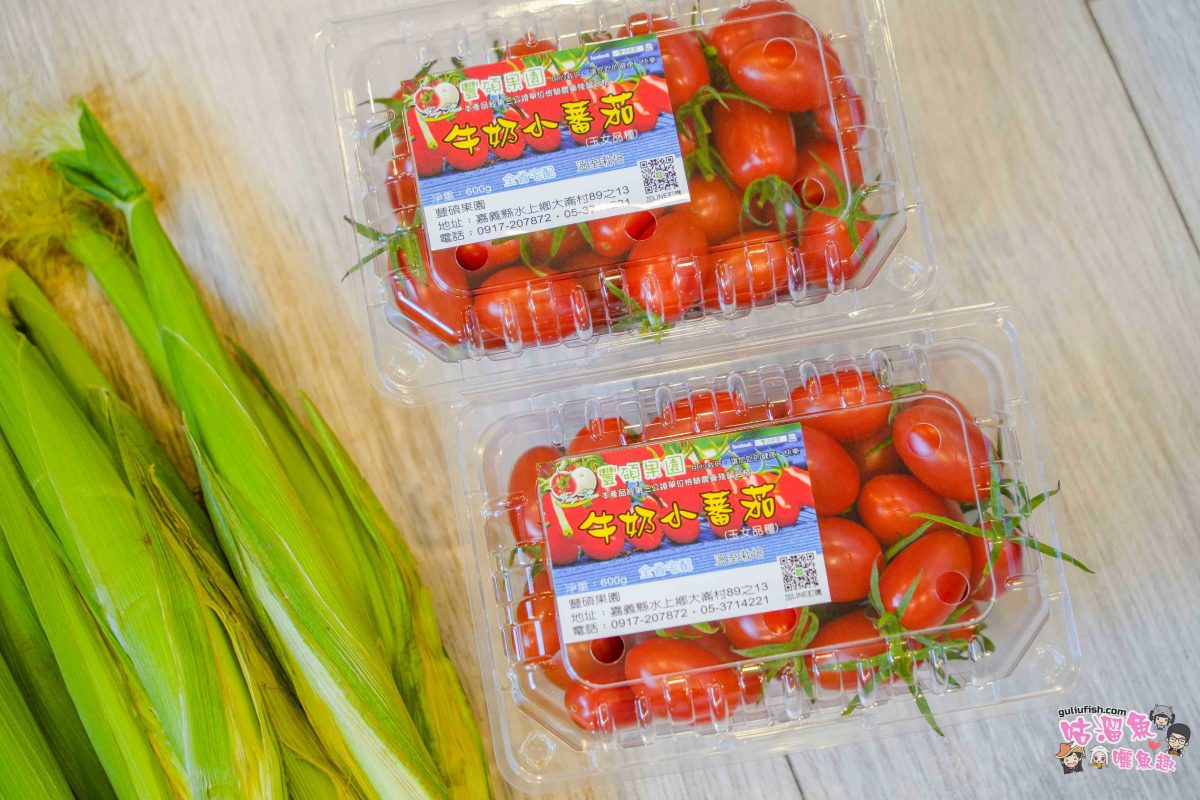 嘉義景點》豐碩果園 | 帶孩子走進有趣的自然教室，體驗採摘蔬果樂趣，感受那份純樸與生機盎然