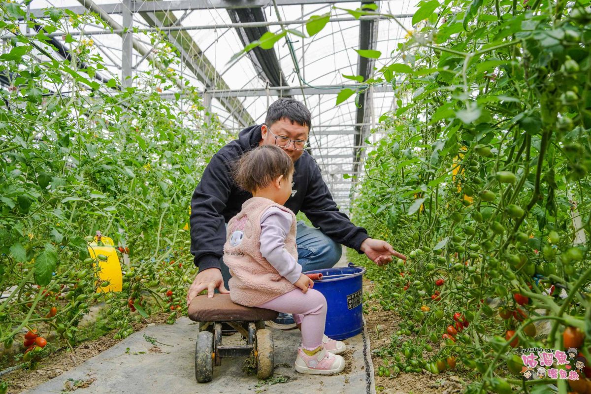 嘉義景點》豐碩果園 | 帶孩子走進有趣的自然教室，體驗採摘蔬果樂趣，感受那份純樸與生機盎然