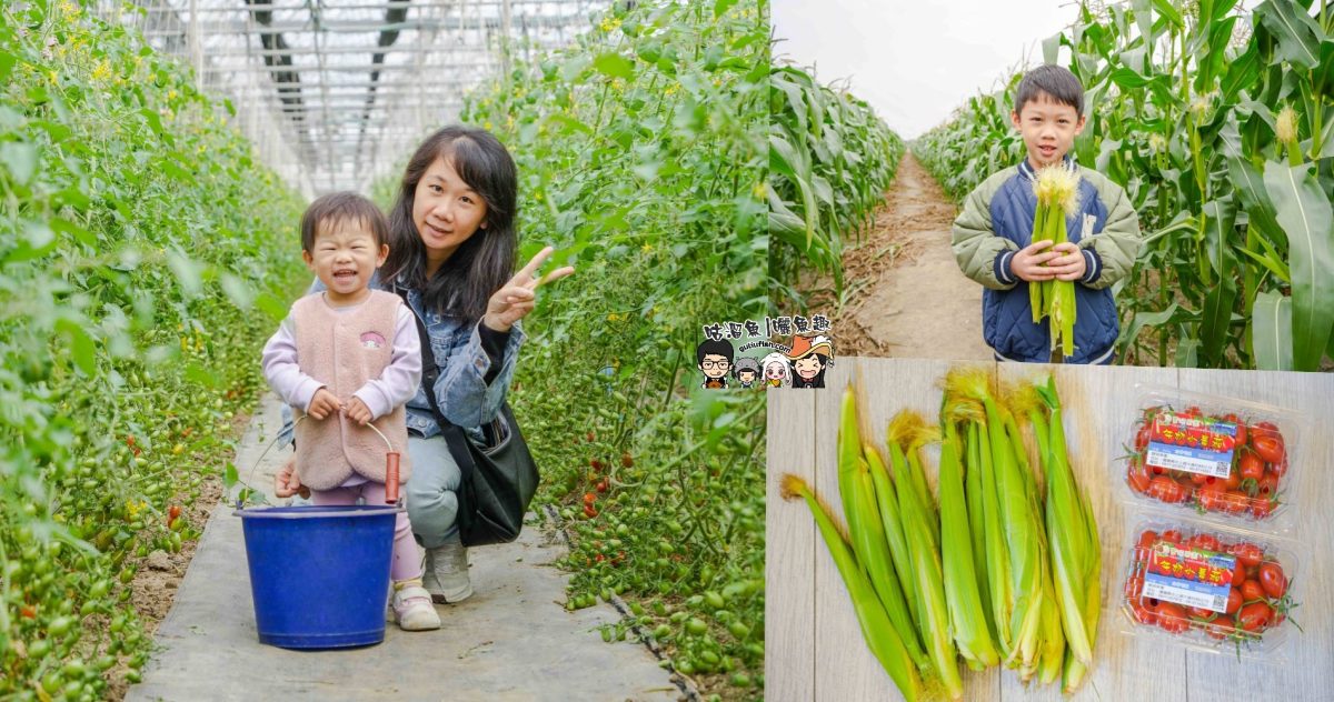 嘉義景點》豐碩果園 | 帶孩子走進有趣的自然教室，體驗採摘蔬果樂趣，感受那份純樸與生機盎然