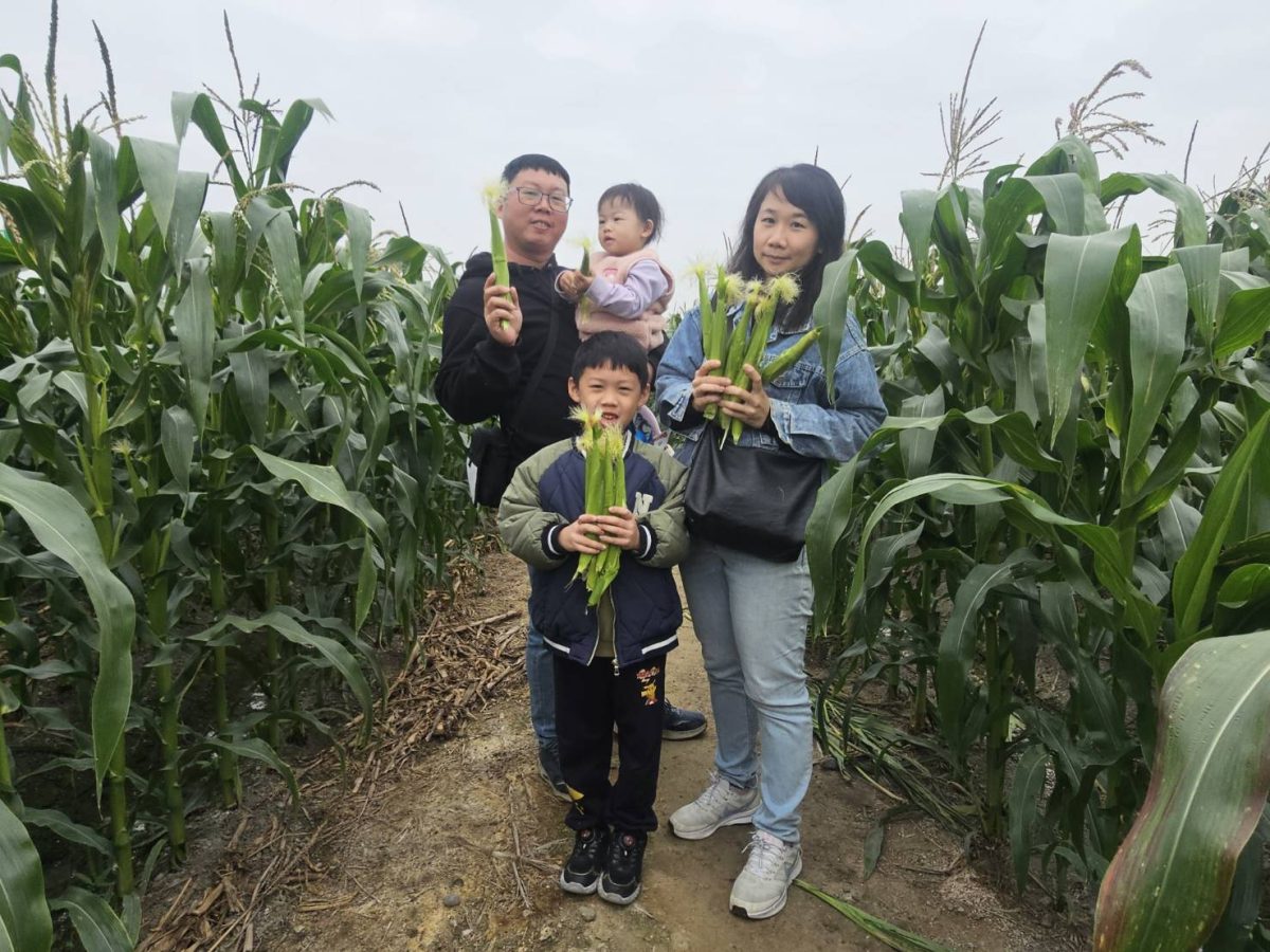 嘉義景點》豐碩果園 | 帶孩子走進有趣的自然教室，體驗採摘蔬果樂趣，感受那份純樸與生機盎然