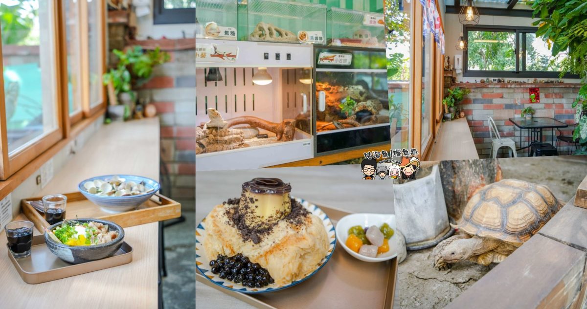 嘉義創意美食》卡咩浩斯食堂製冰所 | 多重風格打造，可觀賞爬行動物，彷彿走進叢林世界的特色餐廳