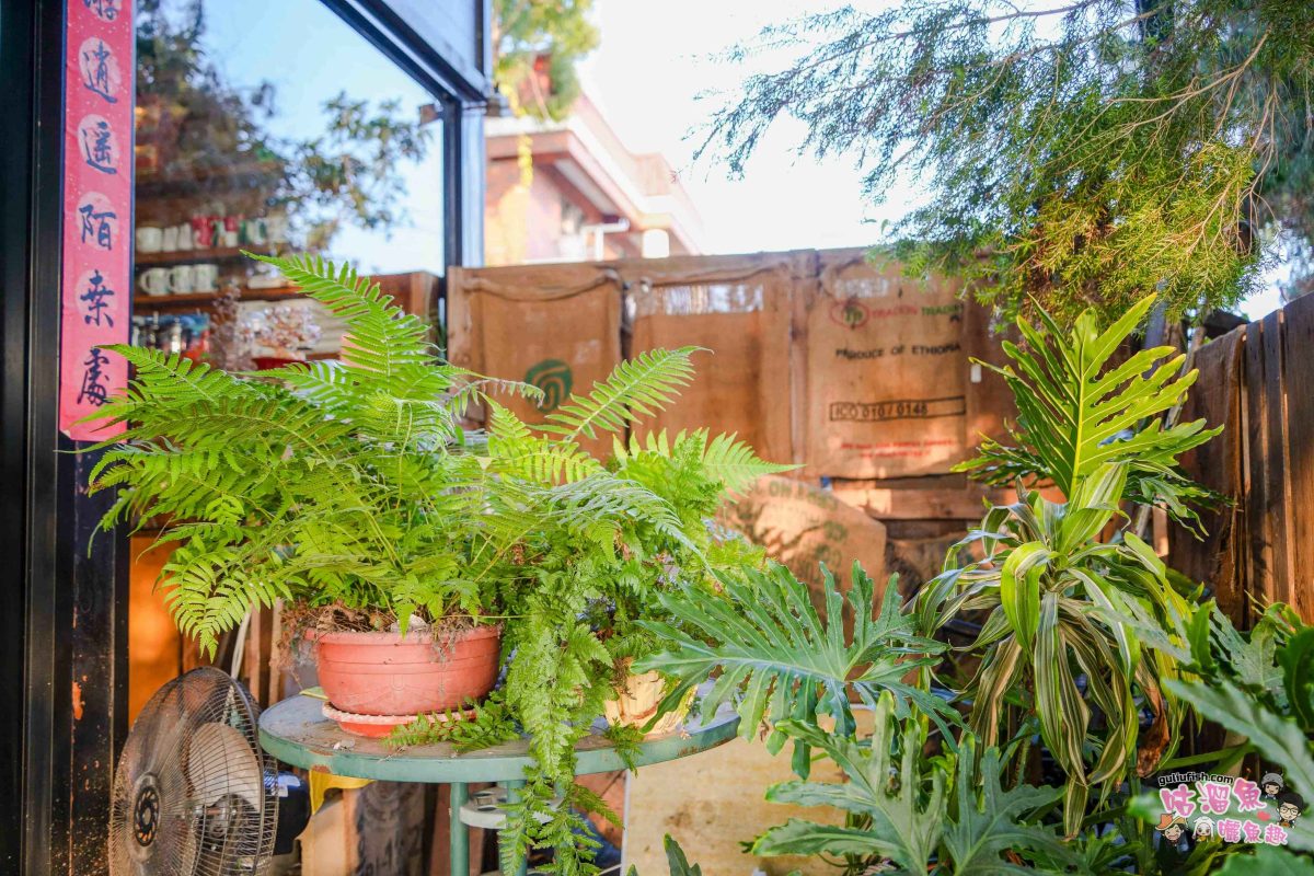 嘉義美食》魚罐頭咖啡館 | 被綠植包覆的絕美玻璃屋咖啡廳,坐擁田園景緻,還可在室內觀魚池餵魚很有趣 嘉義美食》魚罐頭咖啡館 | 被綠植包覆的絕美玻璃屋咖啡廳,坐擁田園景緻,還可在室內觀魚池餵魚很有趣