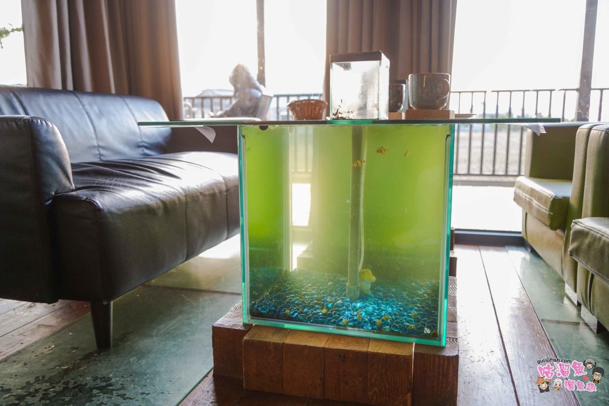 嘉義美食》魚罐頭咖啡館 | 被綠植包覆的絕美玻璃屋咖啡廳,坐擁田園景緻,還可在室內觀魚池餵魚很有趣 嘉義美食》魚罐頭咖啡館 | 被綠植包覆的絕美玻璃屋咖啡廳,坐擁田園景緻,還可在室內觀魚池餵魚很有趣